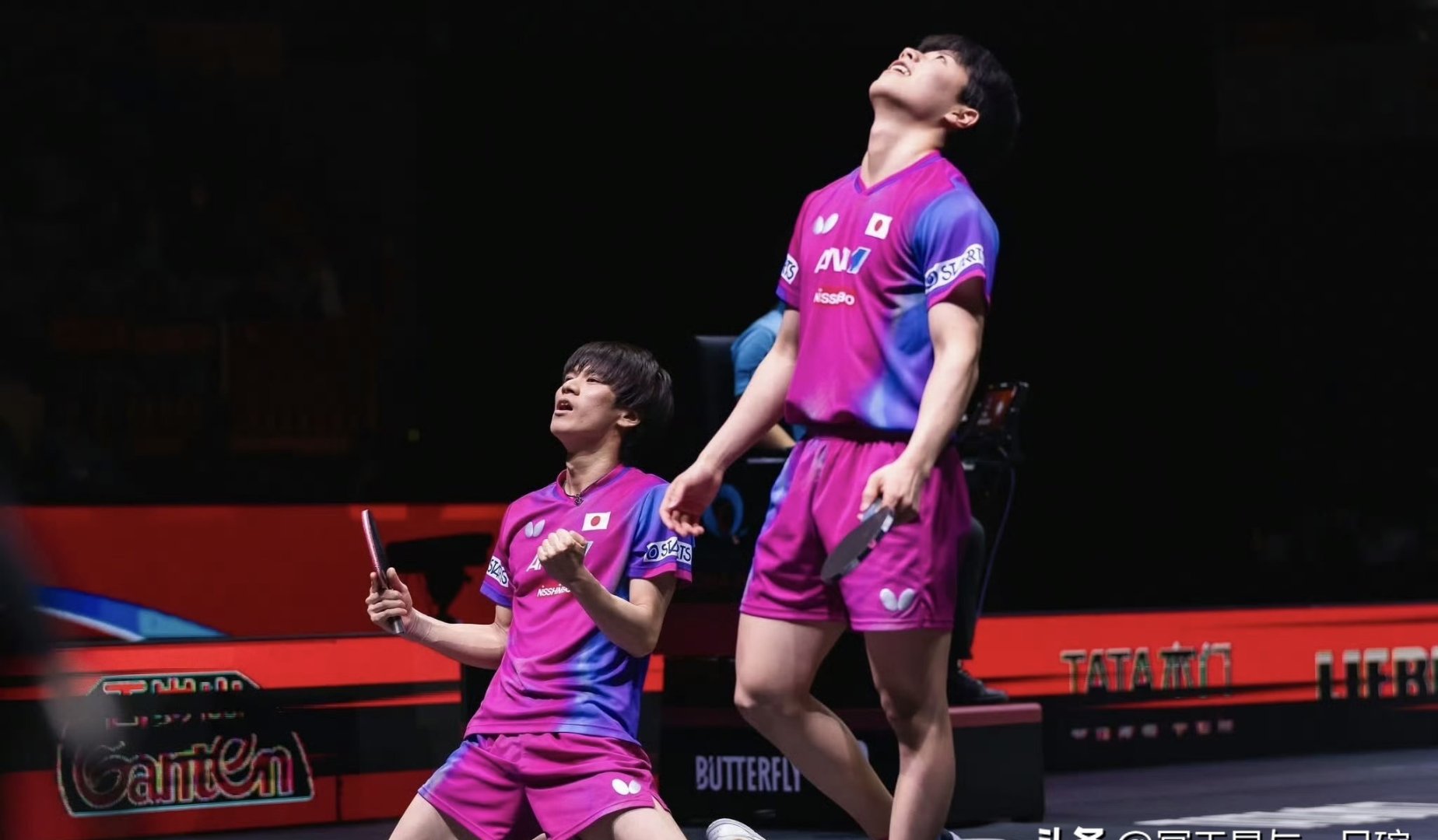 比利时乒乓球队鏖战德国乒乓球队，张本智和统治全场的简单介绍