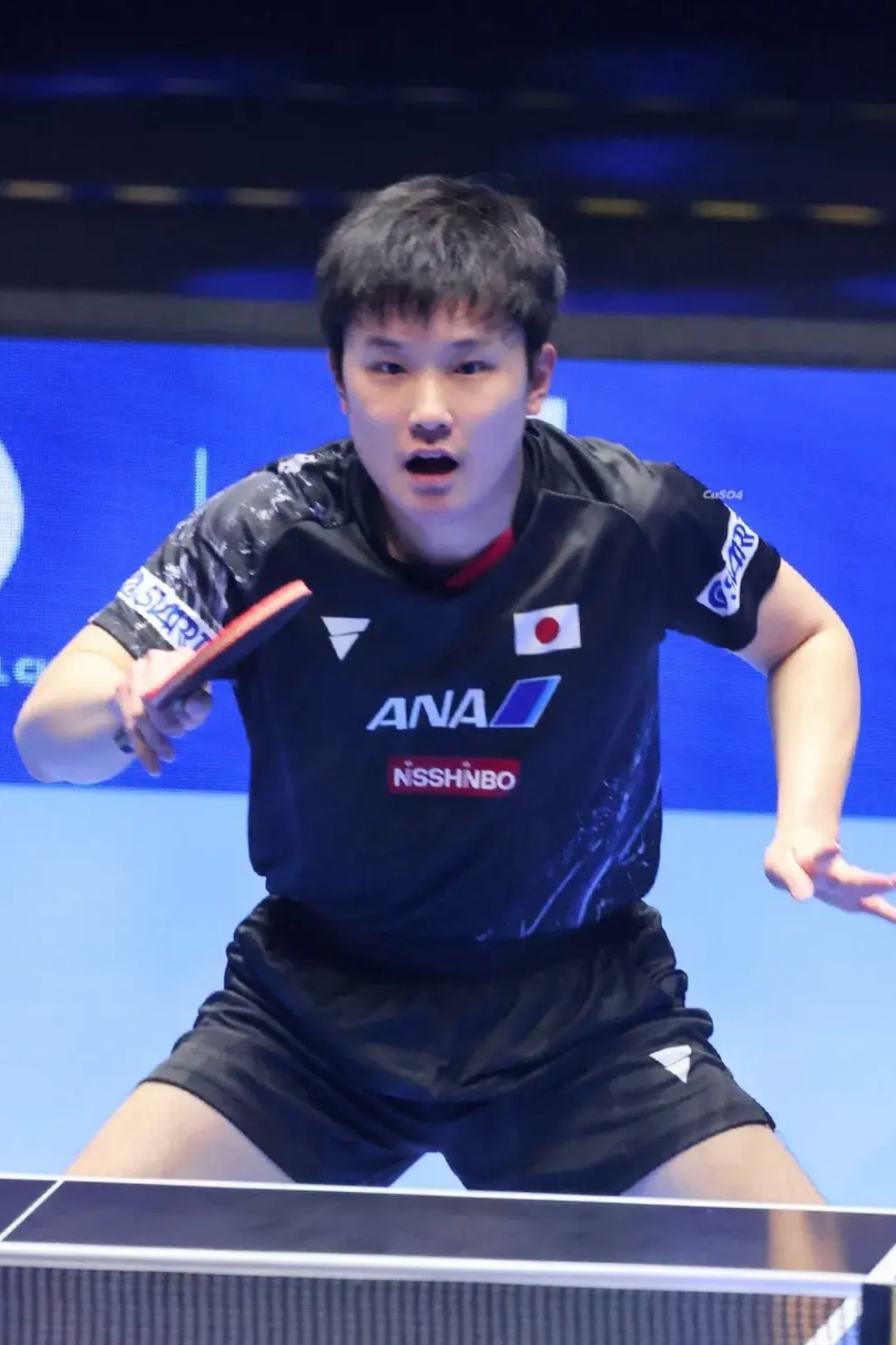 包含日本乒乓球队力克韩国乒乓球队，张本智和爆发神勇的词条