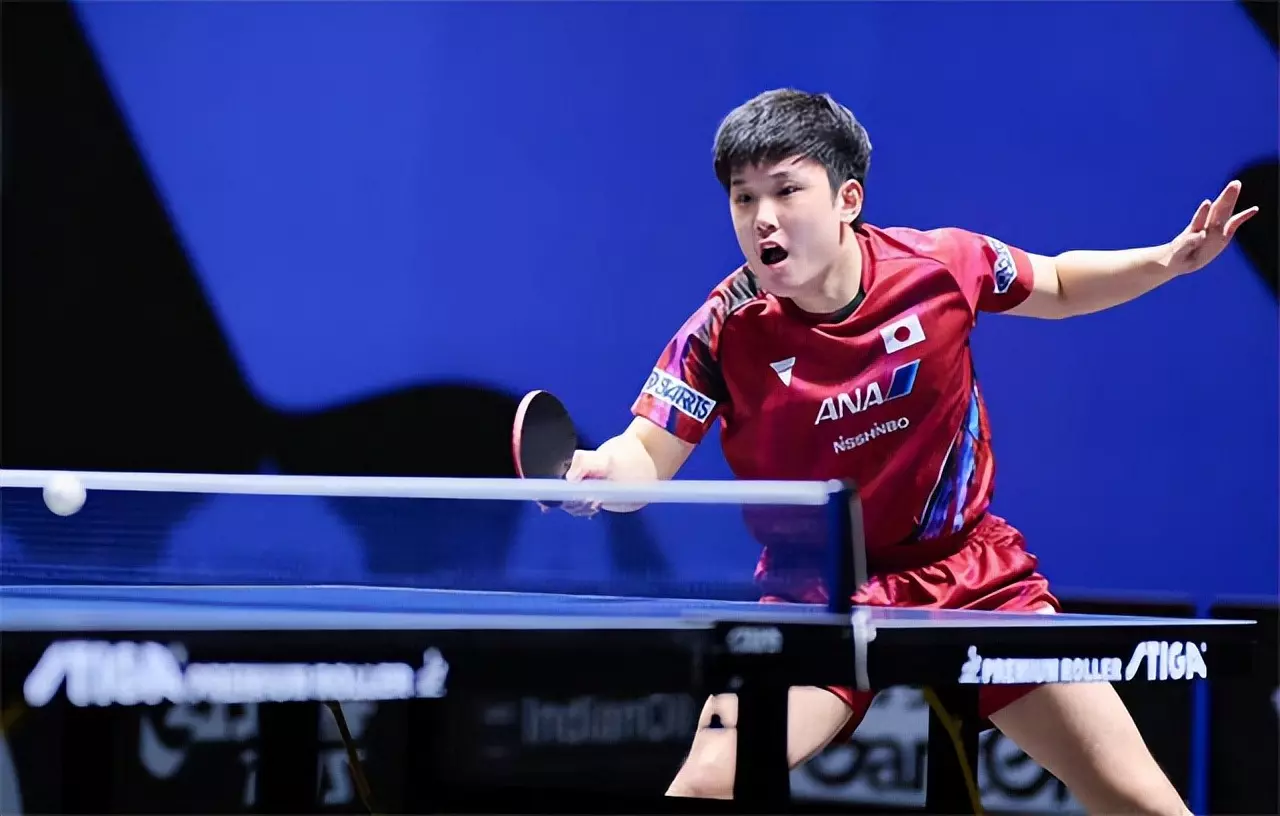 中国队横扫奥地利队,张本智和高光表现 中国队横扫奥地利队,张本智和高光表现