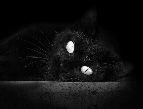 捍卫荣耀！76人爆冷击败勇士，生死战里的热血与谋略