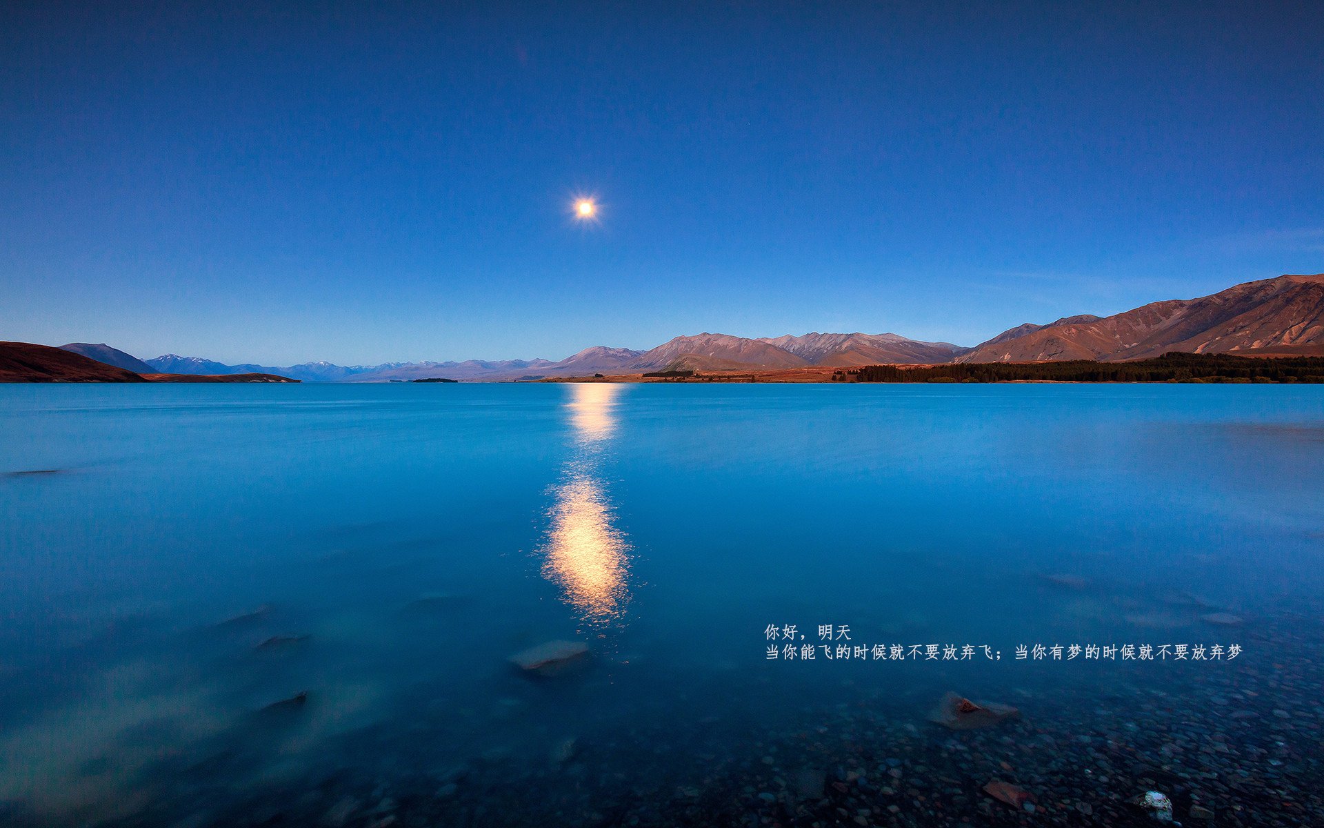 F1年度争冠之夜,加维惊艳四座,新星崛起
