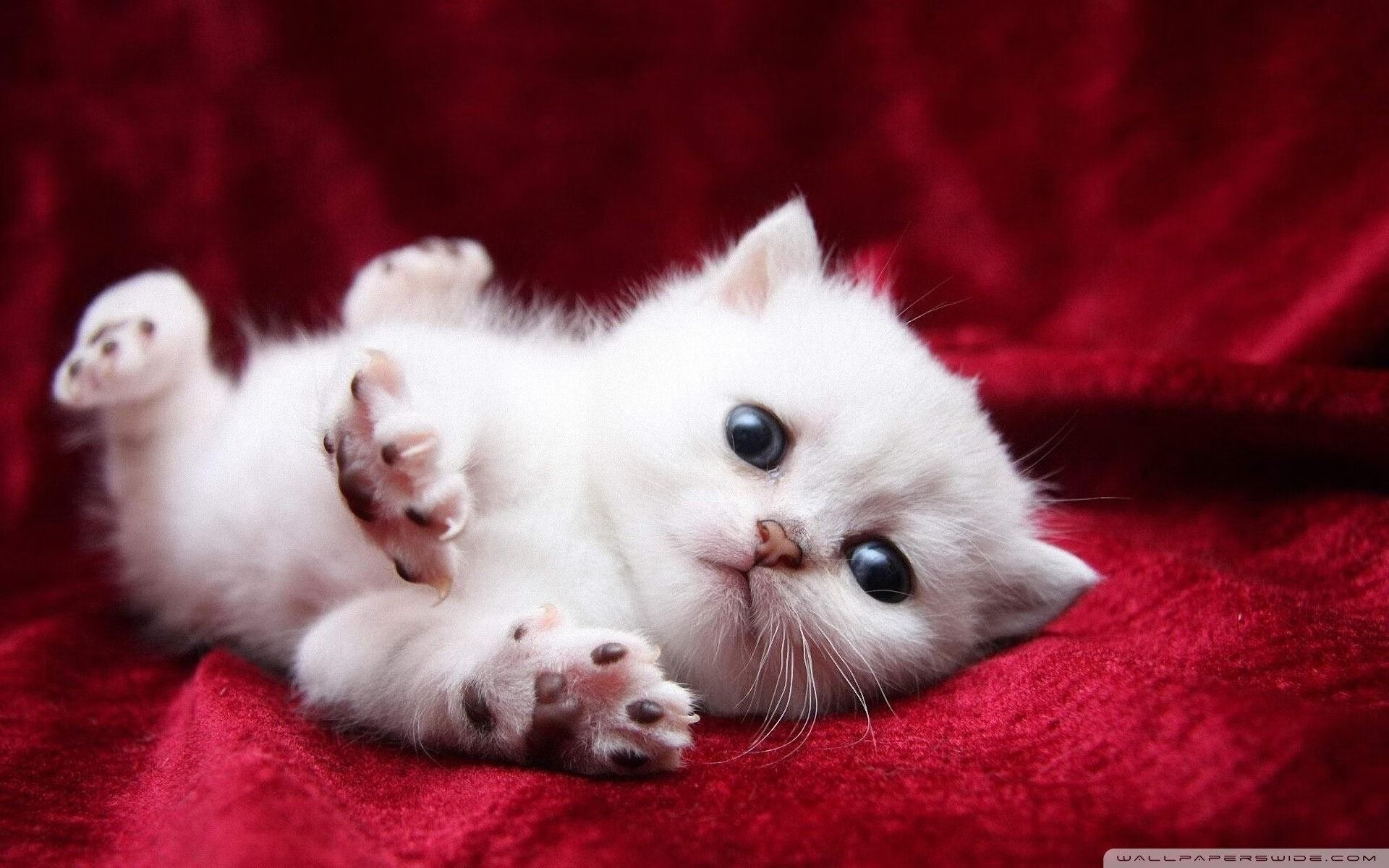 北欧铁壁锁雄鹰,关键先生定乾坤,绿茵场上的冰与火之歌