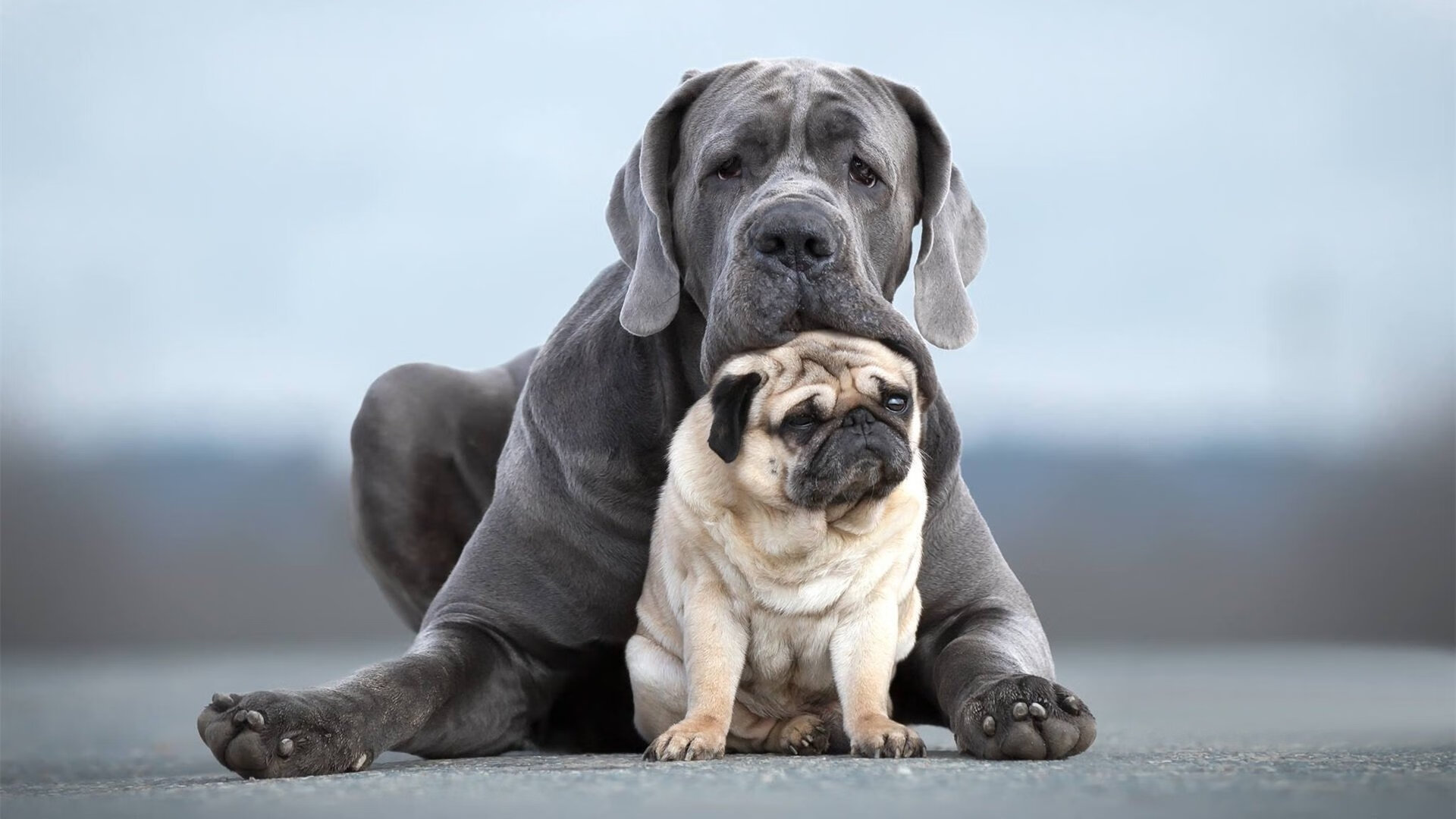 叙事结构,当欧冠的夜晚遇见杜兰特的剑