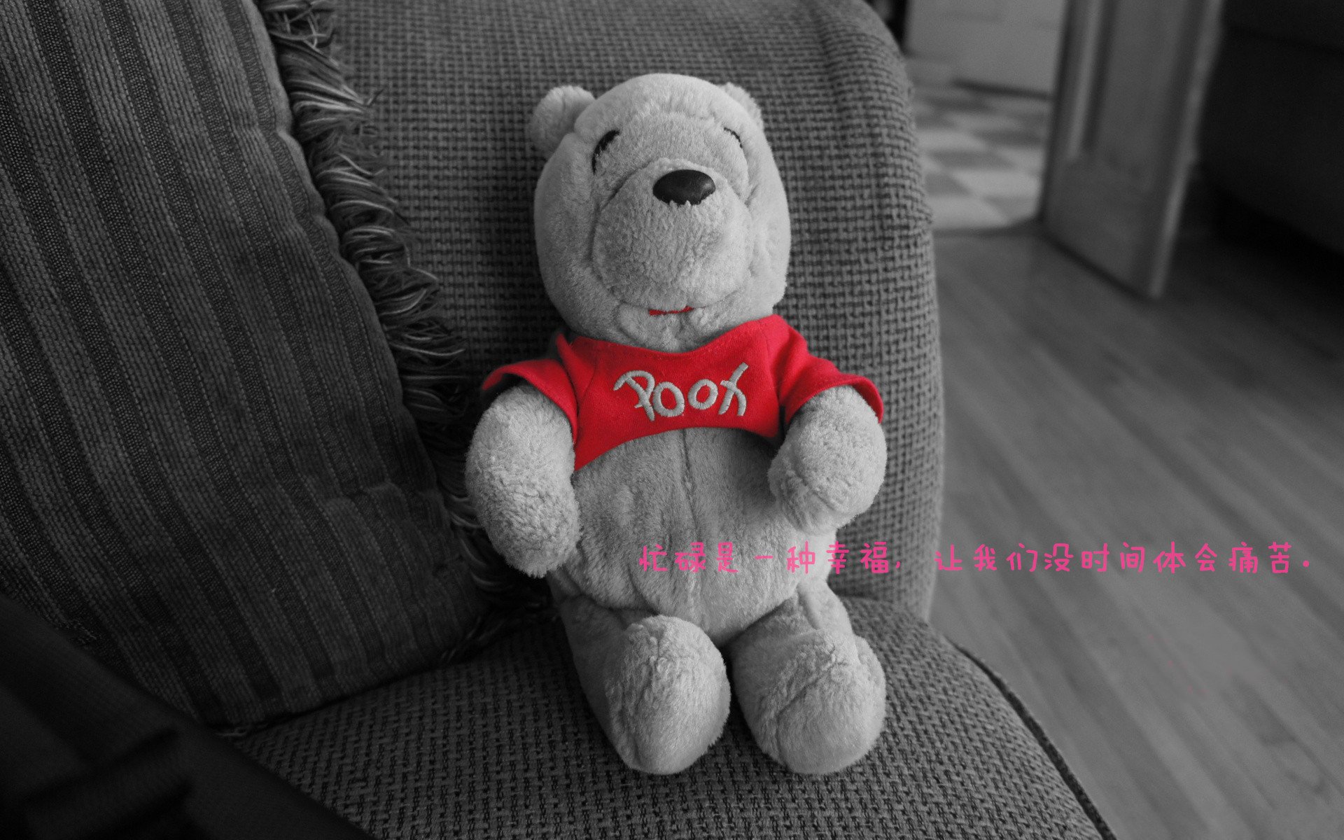 战术压制与巨星闪耀，篮网克太阳，锡安东决接管比赛