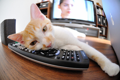 王朝的黄昏与新鹰的崛起,一场季后赛焦点战的时代隐喻