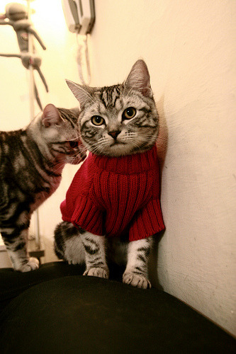 凯塞多一锤定音!比利亚雷亚尔力克德国战车,战术博弈铸就经典对决