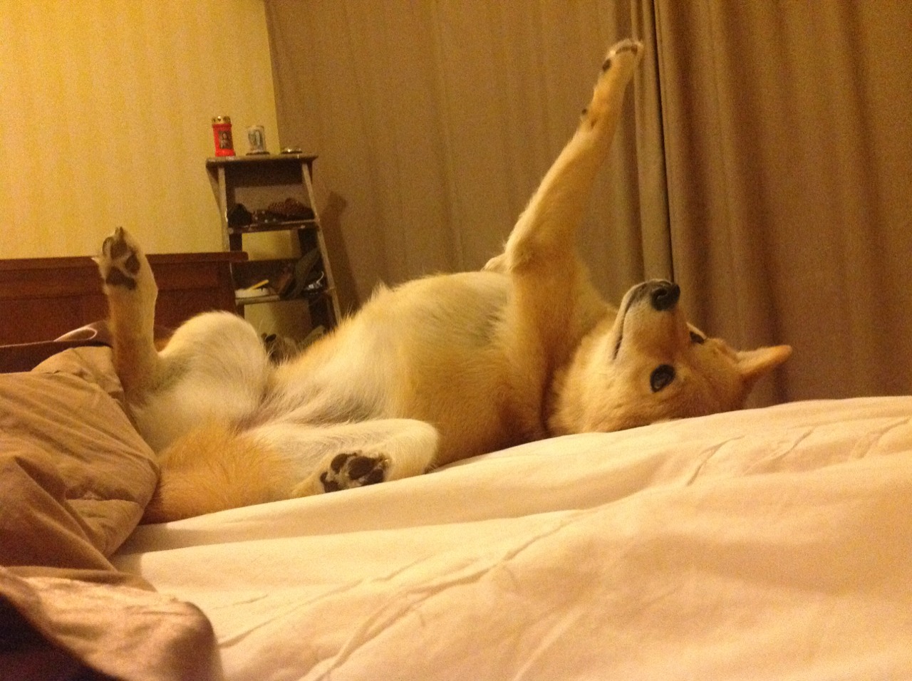 后防磐石与黄色风暴，斯通斯稳健如常，比利亚雷亚尔力克摩纳哥