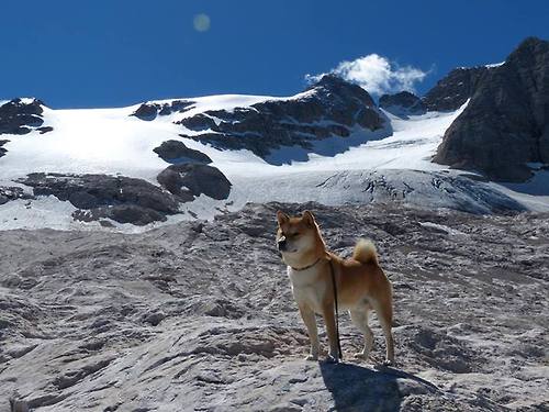 关键先生小贾伦率北京队逆转浙江,末节爆发定乾坤