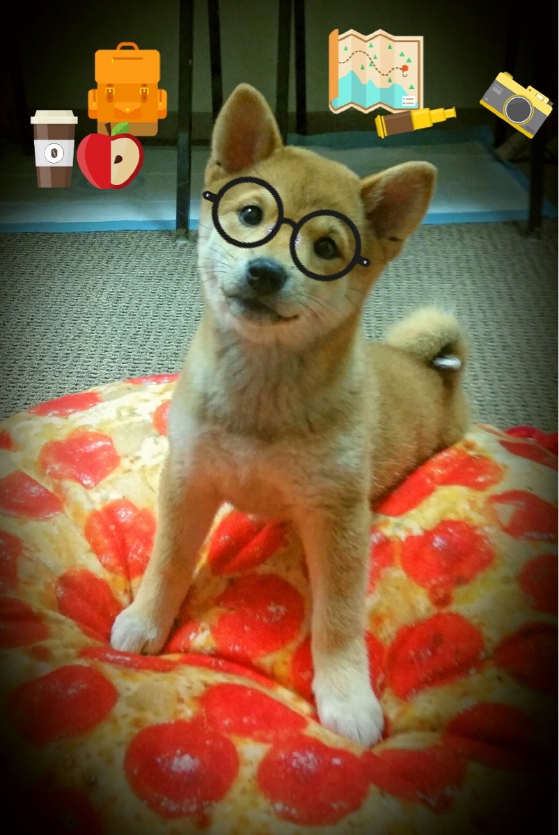 上海队爆冷击溃太阳，贝恩化身关键先生助队取胜