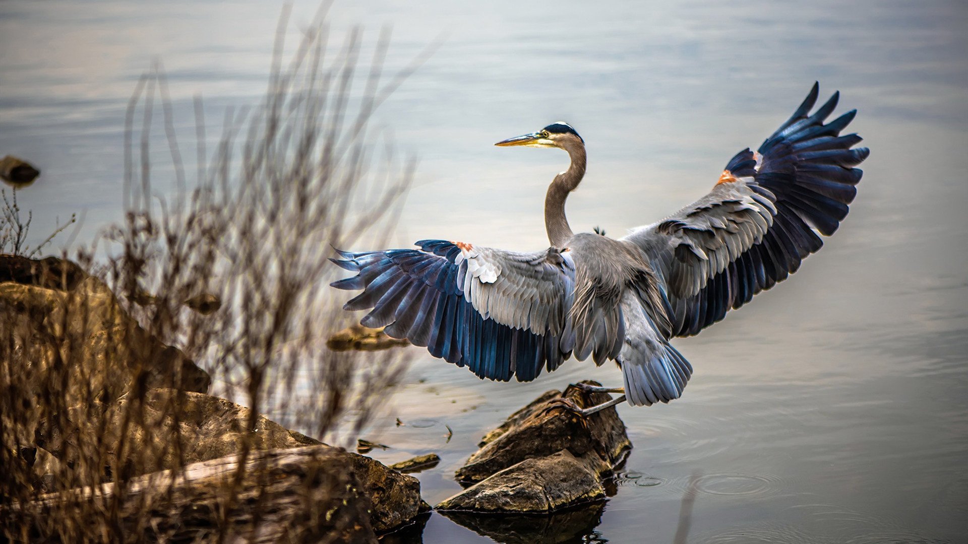 巴雷拉爆发难救主!拜仁最后时刻绝杀墨西哥