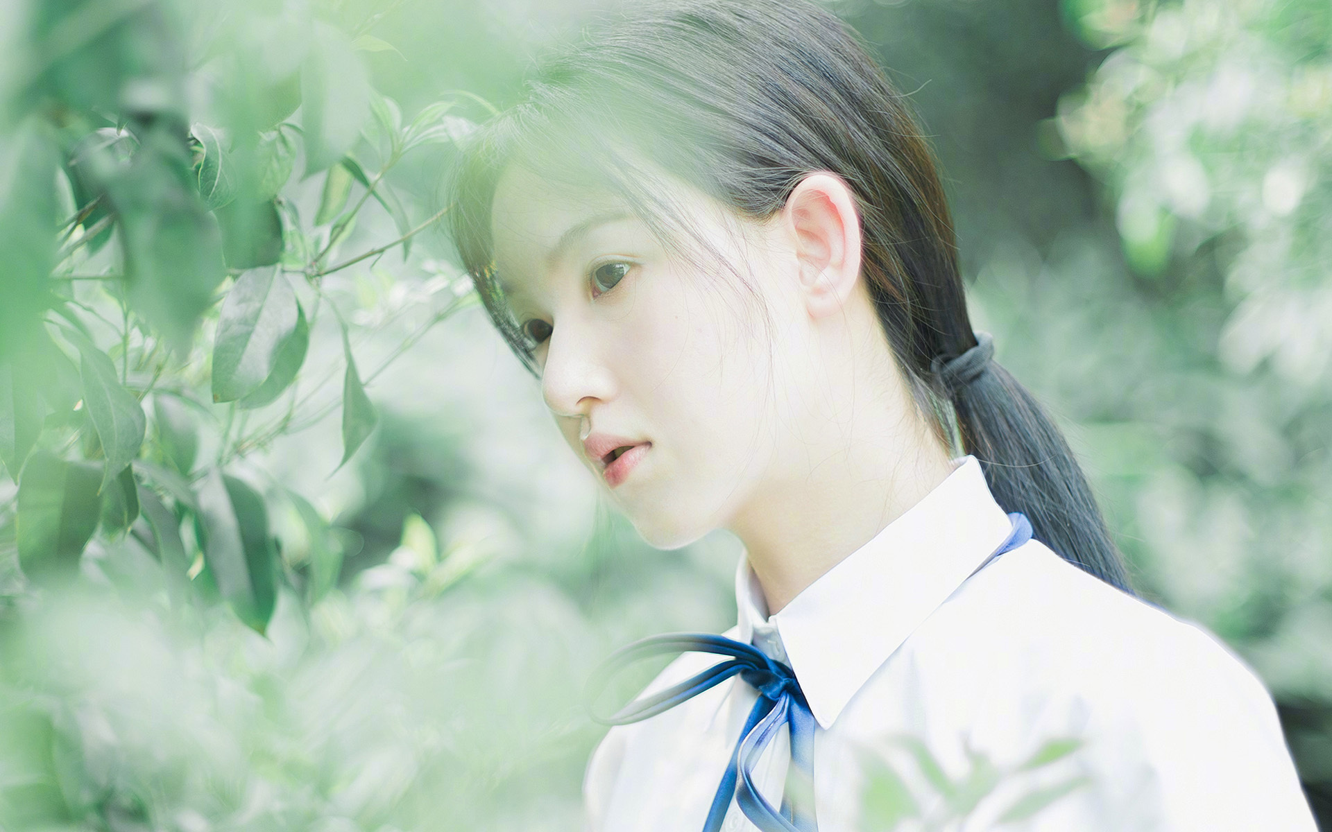 当密西西比河遇见黄浦江,一场跨越现实的篮球狂想曲