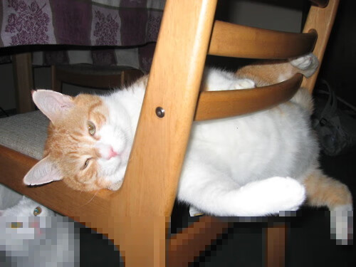 德罗赞爆砍40+化身中投死神，约基奇三双助掘金客场碾碎76人