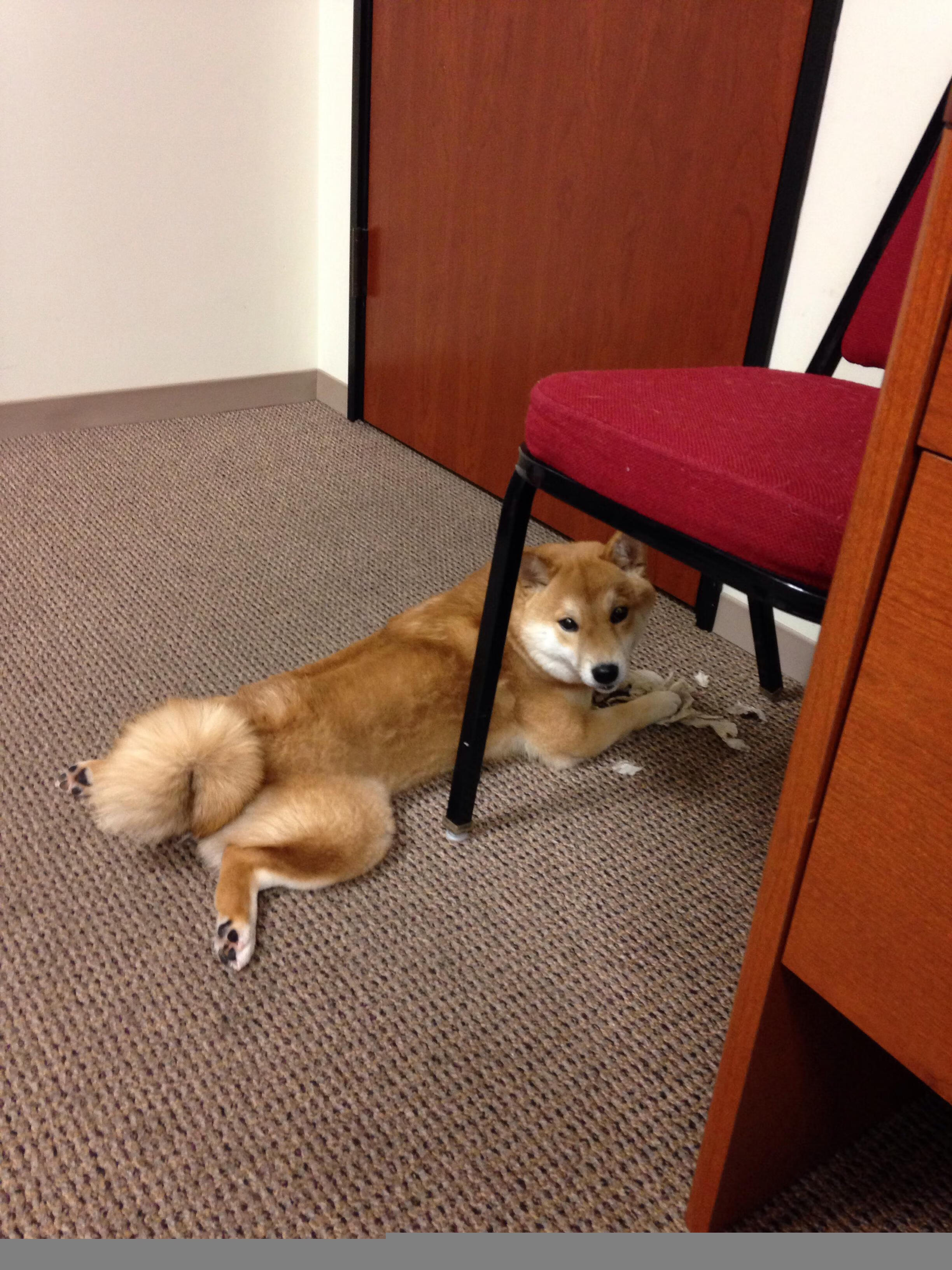 高原奇迹！巴萨客场掀翻玻利维亚，穆勒完美发挥铸就经典之战