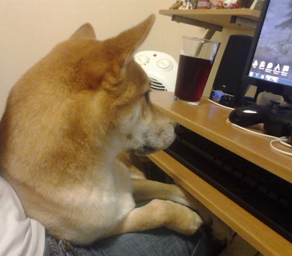 硬仗中升起不落太阳,从NBA赛场到美加墨世界杯的竞技启示